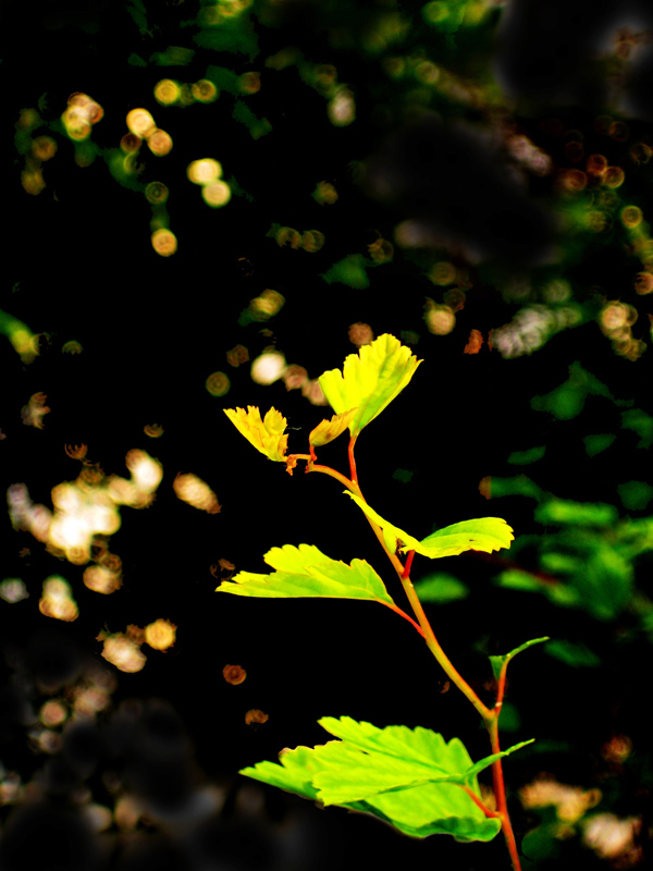 憧憬 摄影 photograph