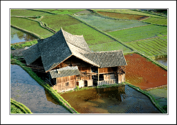 田园人家 摄影 三峡石