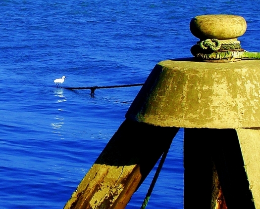 大海—母亲 摄影 南方夏日