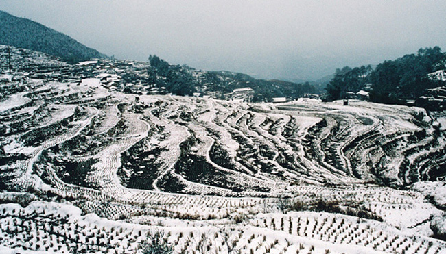 雪浪 摄影 南国雪