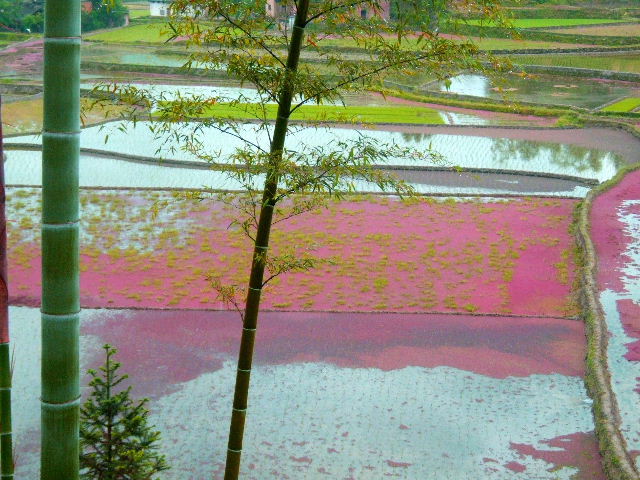 多彩的田野 摄影 夏厦