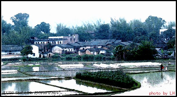 田野风景线 摄影 独行刀客