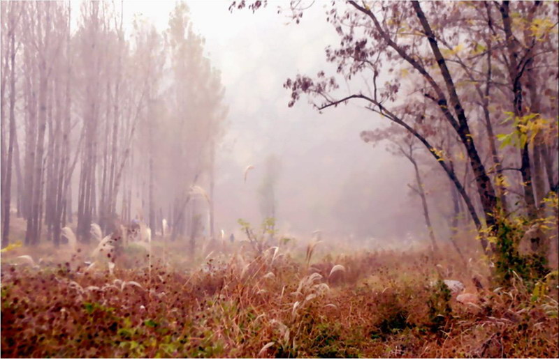 景（怀柔） 摄影 gaojun