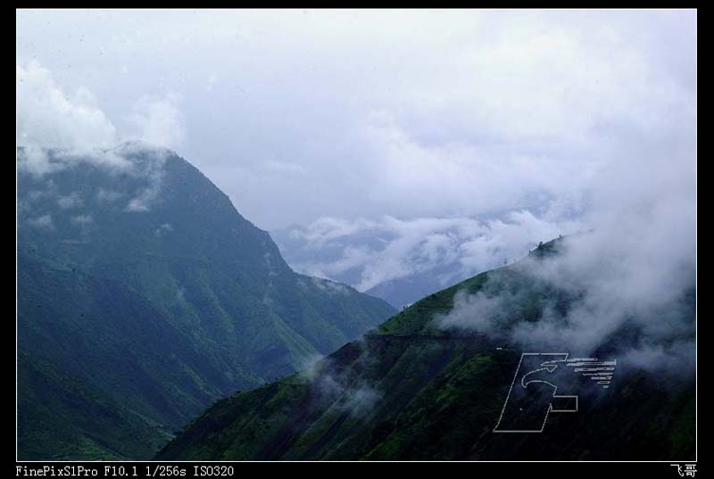 雾锁大山 摄影 阿飞哥