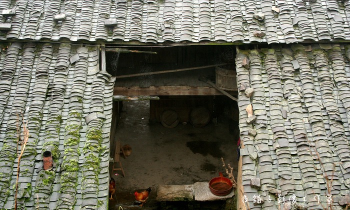 乡村农家 摄影 雨后_斜阳