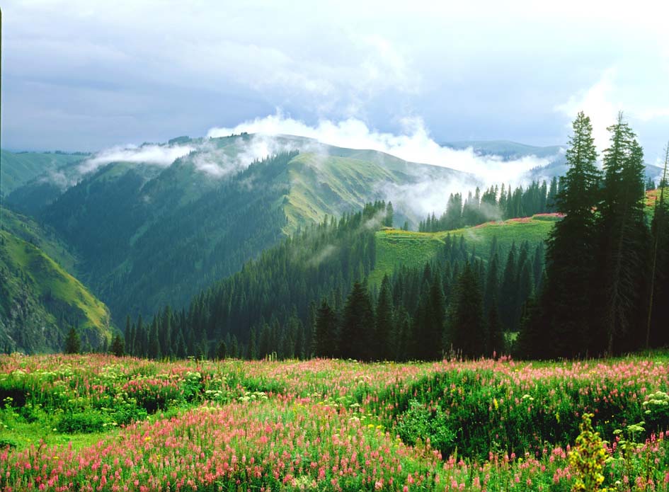 雾漫天山 摄影 西域阳光