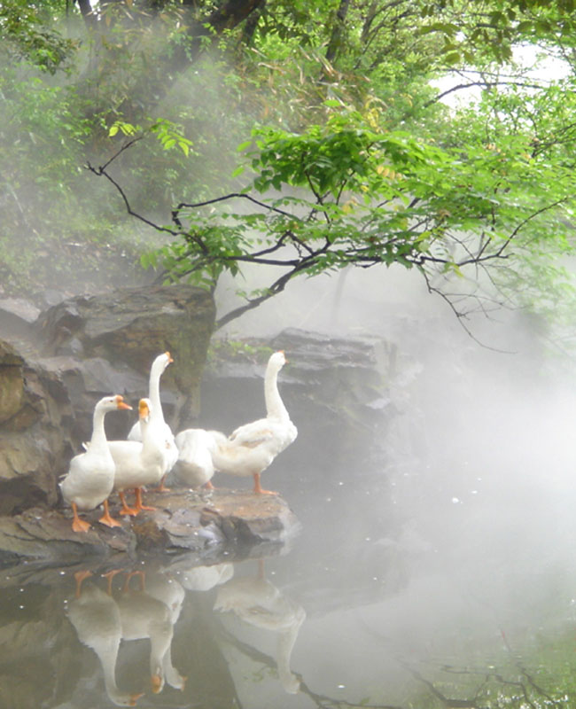 春江水暖 摄影 碧螺新雨