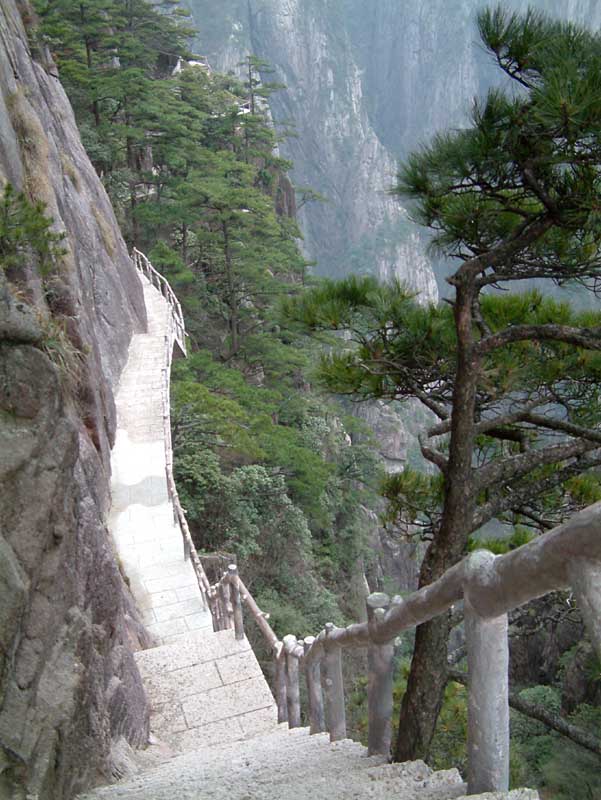 黄山西海峡谷 摄影 88的夏天