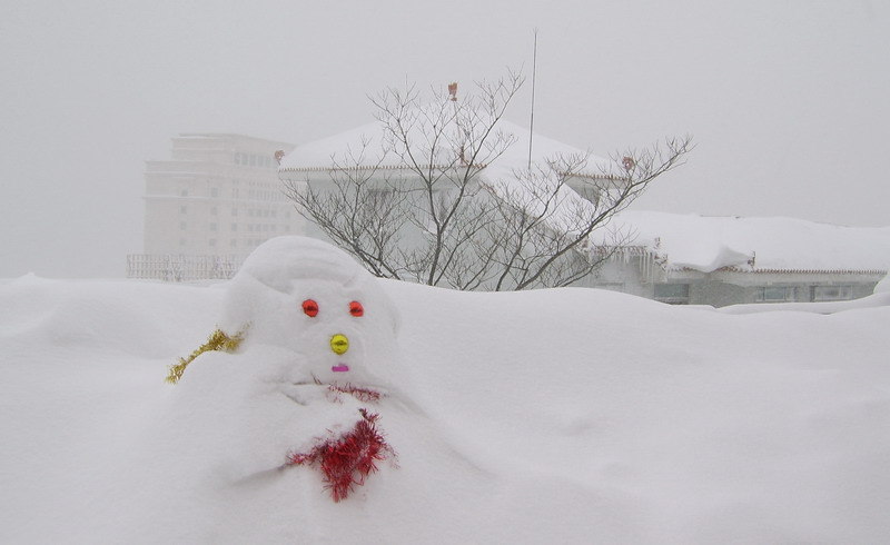 雪神 摄影 董永利