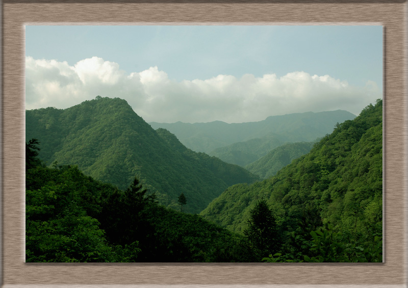 大别山 摄影 chengcn001