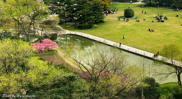 上海中山公园美景 摄影 灰衣行者