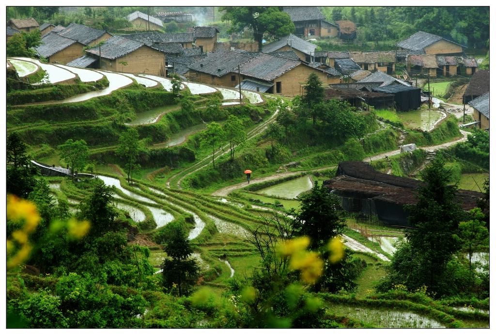 梯田人家 摄影 南山樵夫