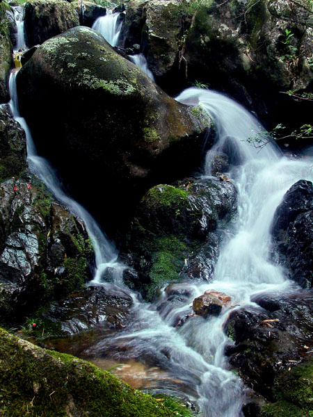 [高山流水] 摄影 阿圆