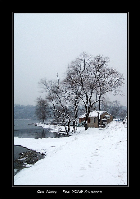 雪景 摄影 yp2807