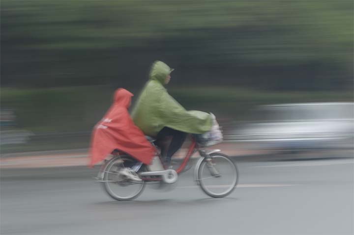 雨中即景 摄影 江湖一枪