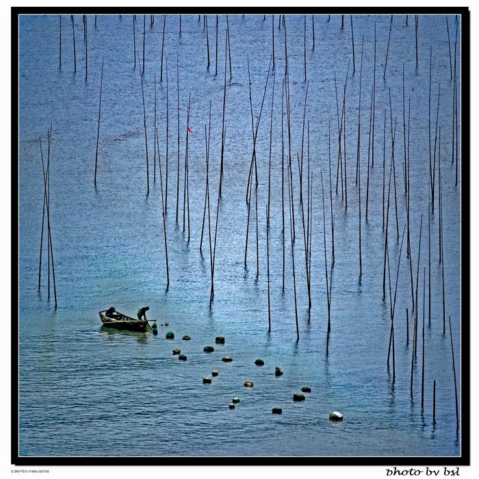 播种春海 摄影 书海