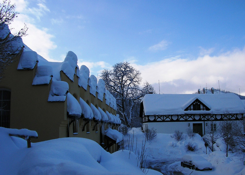 德国19--新天鹅城堡--雪景17 摄影 玉洁冰清