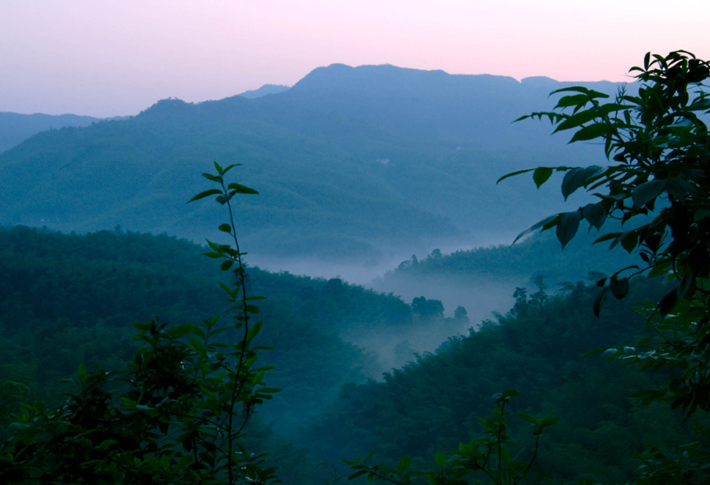 蜀南竹海风光－《竹海晨曦》 摄影 吴聪全