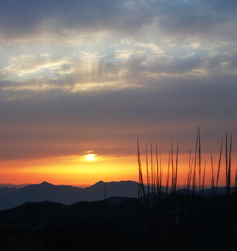 夕阳无限好 摄影 五月天