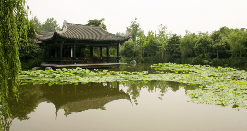 瞿上园小景 摄影 雨滴219