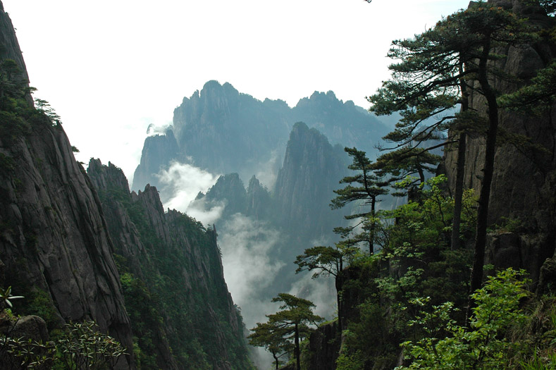 黄山6 摄影 走进大自然