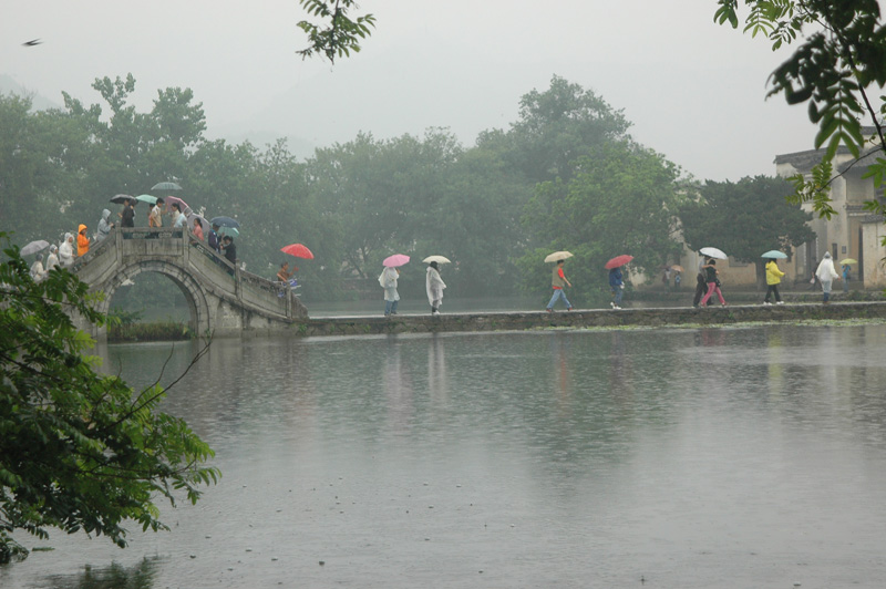 雨中游 摄影 老王