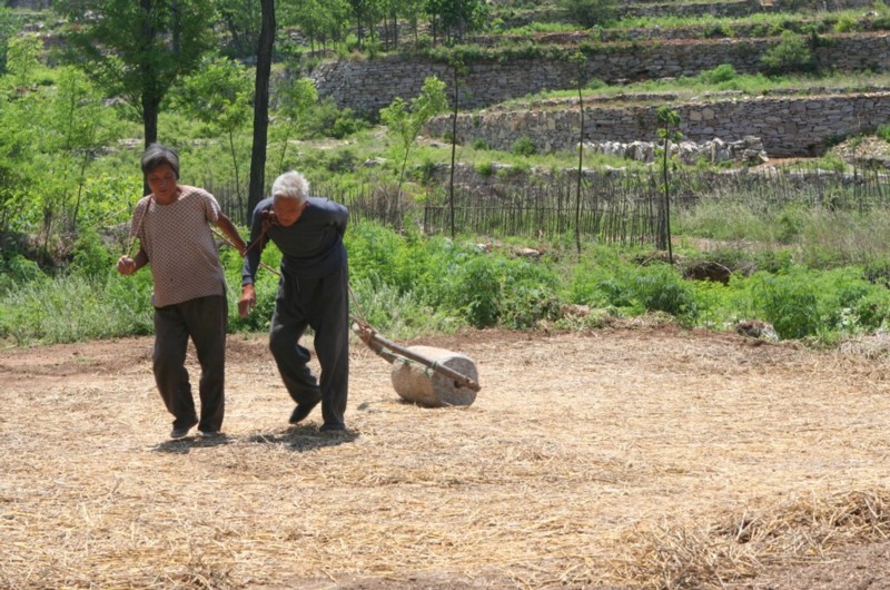 生命不息，劳作不止 摄影 不后悔