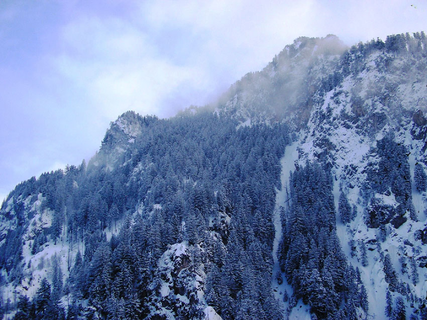 德国21--新天鹅城堡雪--景19---阿尔卑斯山脉 摄影 玉洁冰清