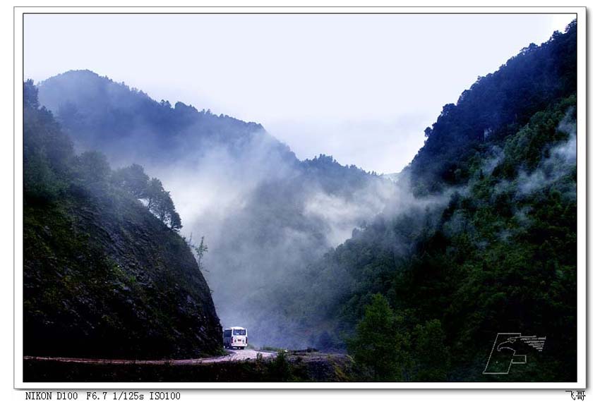 雾锁大山 摄影 阿飞哥