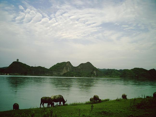 那山那水 摄影 张庆久