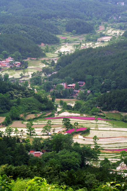 深山田园 摄影 老村夫