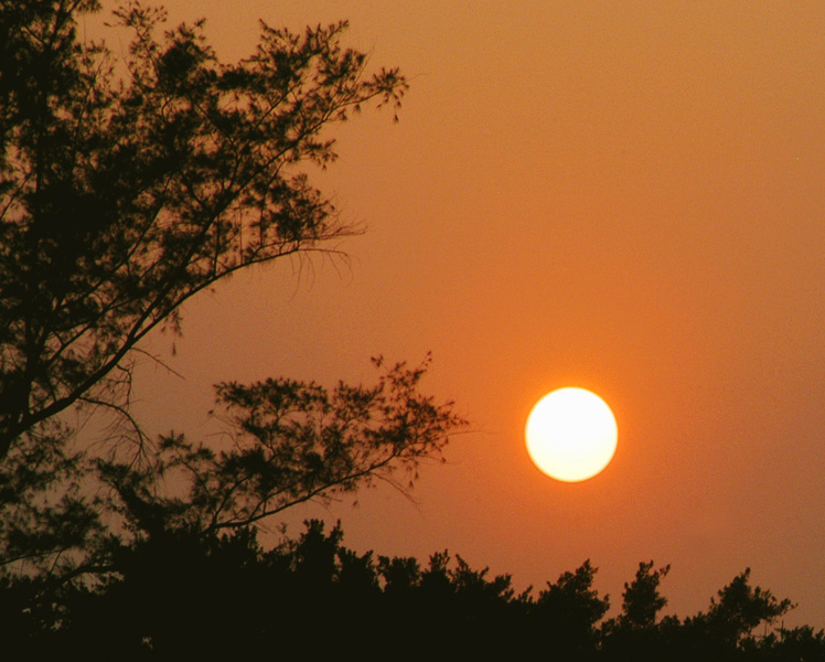 夕阳无限好 摄影 黄梓峰