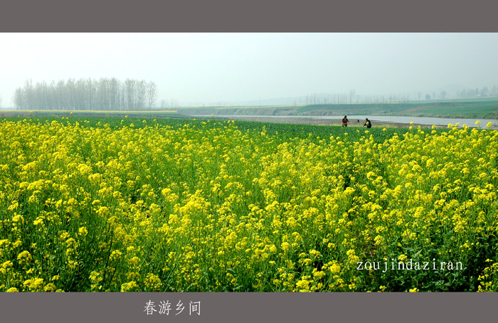 乡间随拍3 摄影 走进大自然