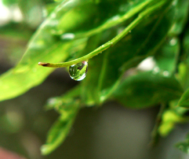 江南雨（7） 摄影 白 蓝