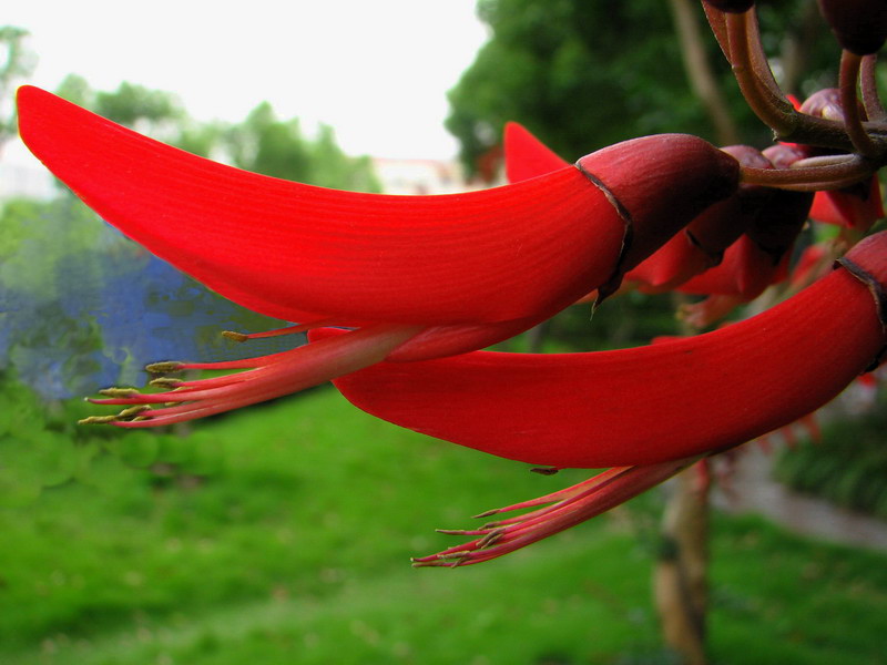 双龙吐火 摄影 fazhou