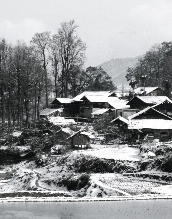 雪村 摄影 梦非梦