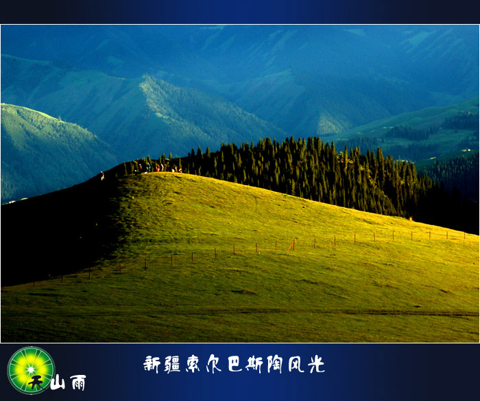 新疆索尔巴斯陶高山草原风光 摄影 天山雨