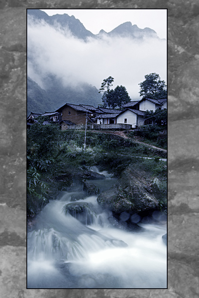 客家山水 摄影 林中