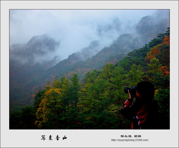 写意香山 摄影 东北虎