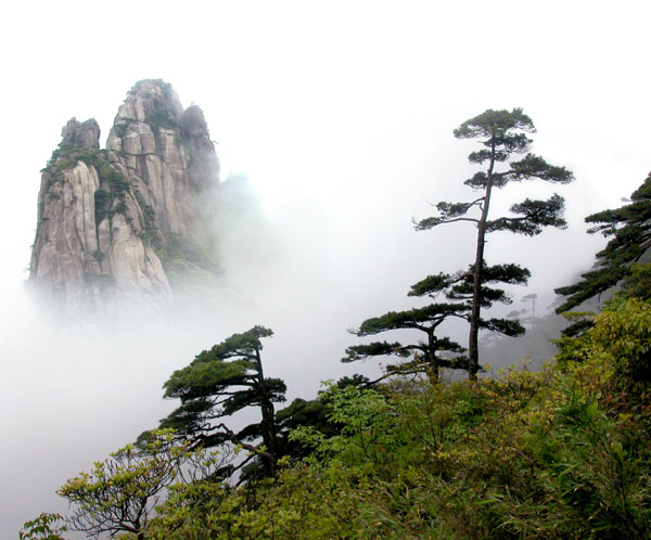 [三清山风光] 摄影 阿圆