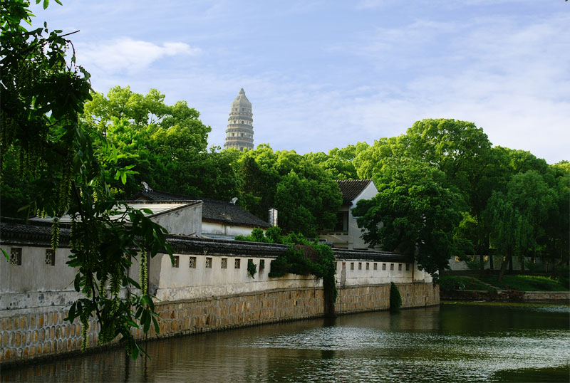 斜塔 摄影 神仙鱼