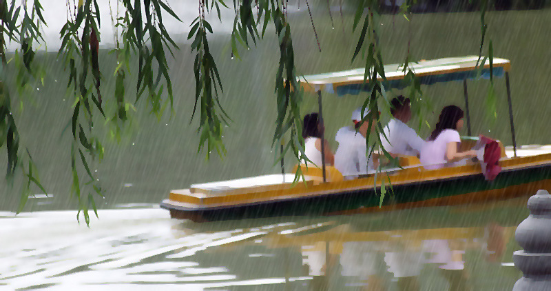 在雨中 摄影 翠玉白菜