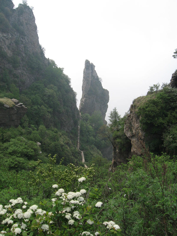 白石山风光—5     海豚出水 摄影 雪竹