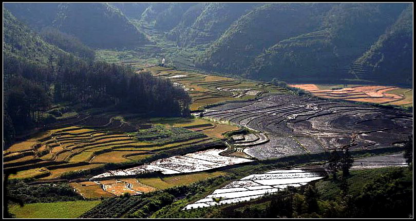 田野 摄影 灰灰