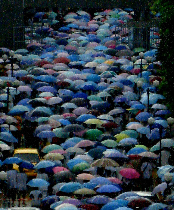 雨天印象 摄影 曲子