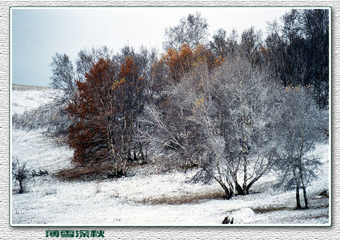 薄雪深秋. 摄影 半影老人