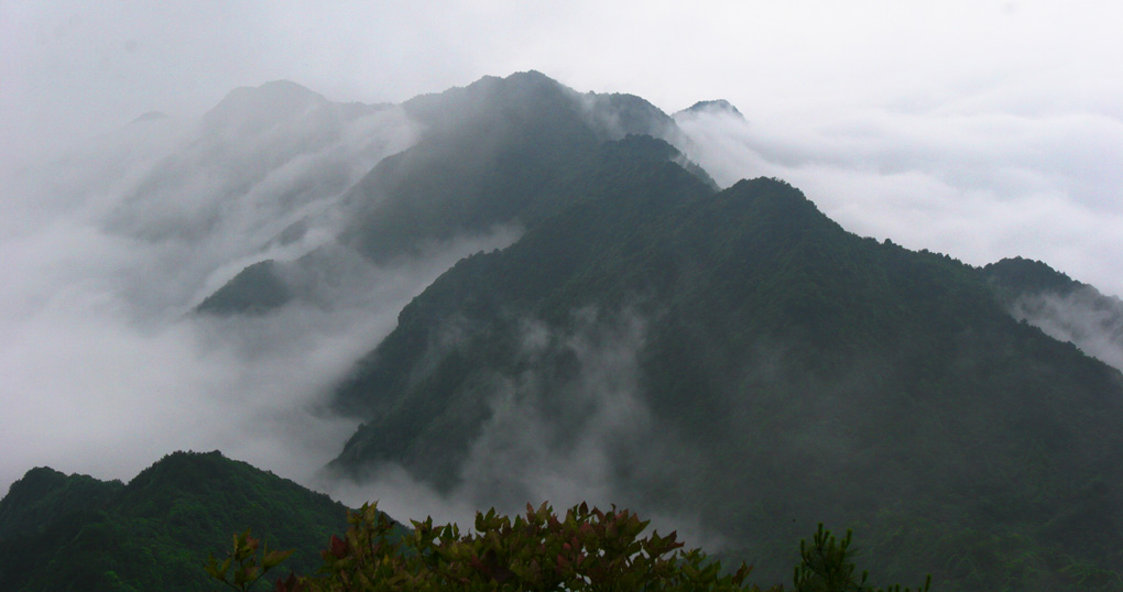 雾 摄影 caoxiaoqing