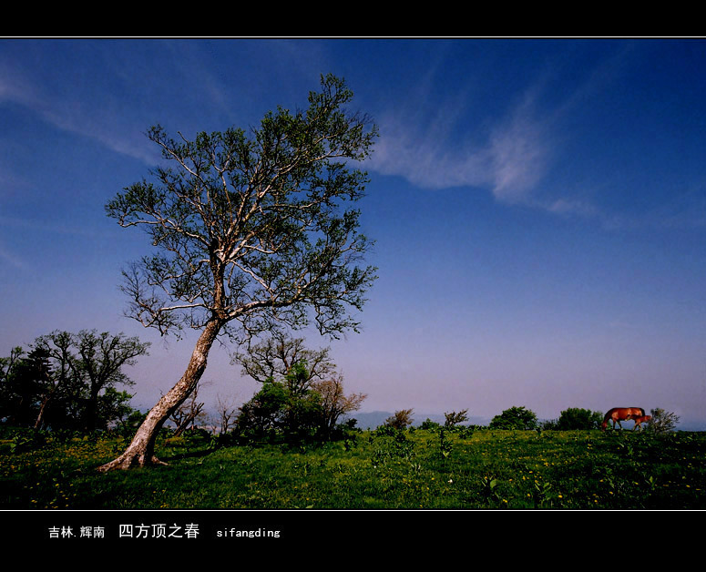 四方顶之春 摄影 古道西丰