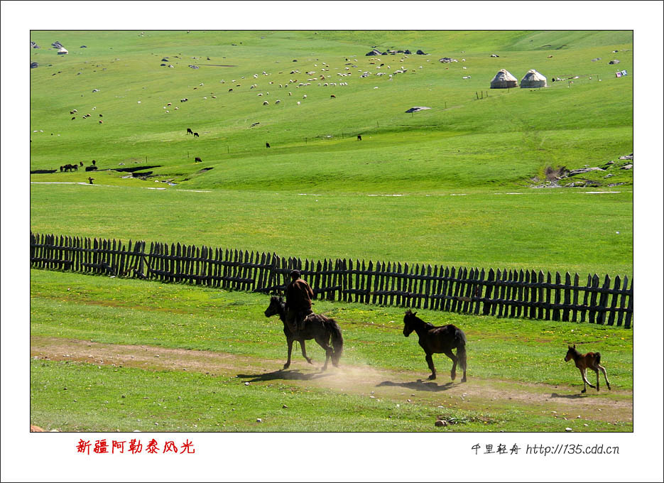 新疆 风光 阿勒泰 摄影 李木木