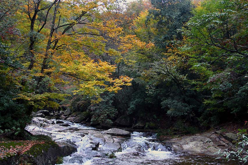 秋天的风景 摄影 liuxiaozhong